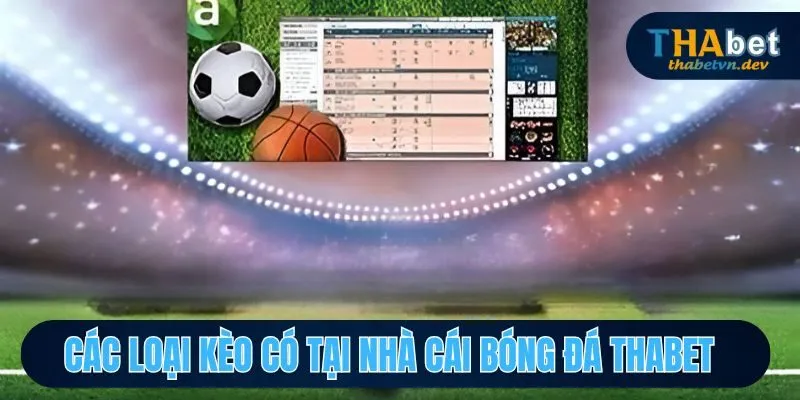 Nhà Cái Bóng Đá THABET - Thương Hiệu Cá Cược Số 1 Châu Á 4 Những loại kèo cược thể thao có tại nhà cái bóng đá THABET