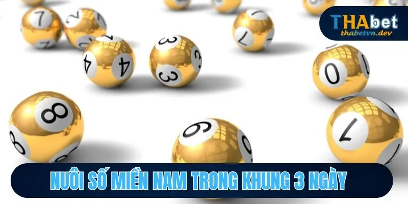 Xổ Số Miền Nam - Các Phương Pháp Soi Cầu Chuẩn Tại Thabet 4 Nuôi số miền Nam trong khung 3 ngày